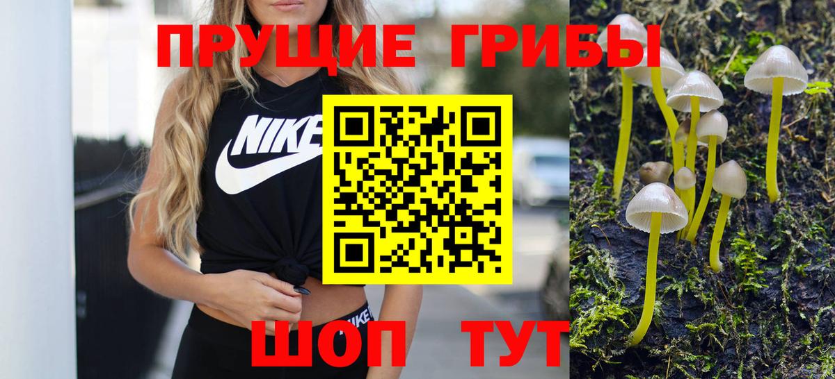 Шарыпово  Галлюциногенные грибы MAGIC MUSHROOMS  Вход с VPN 